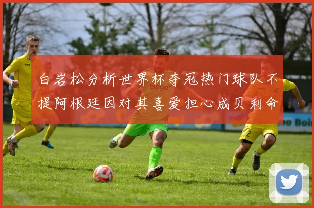 白岩松分析世界杯夺冠热门球队不提阿根廷因对其喜爱担心成贝利命运
