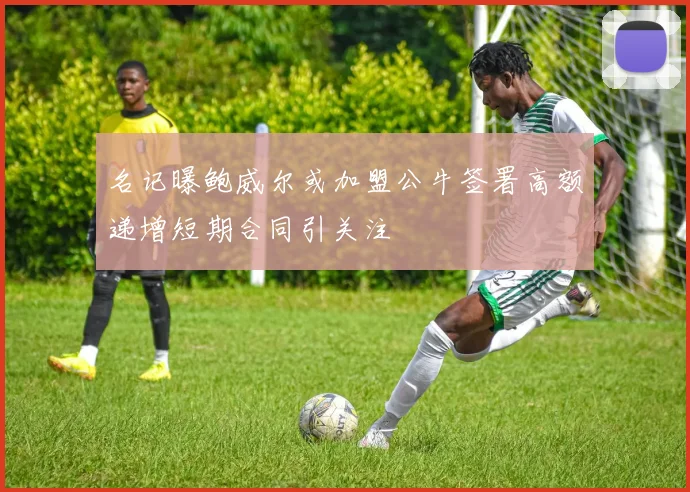 名记曝鲍威尔或加盟公牛签署高额递增短期合同引关注